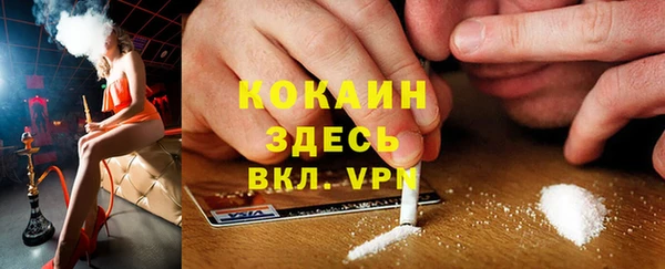мяу мяу мука Няндома