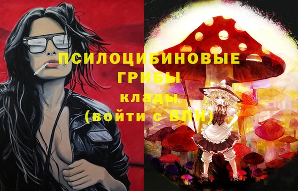 мяу мяу мука Няндома