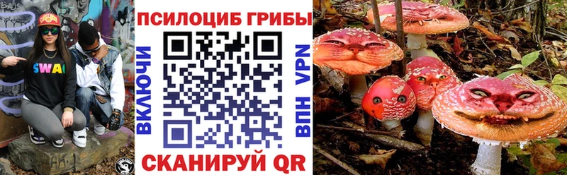 как найти закладки Белоусово Псилоцибиновые грибы мицелий